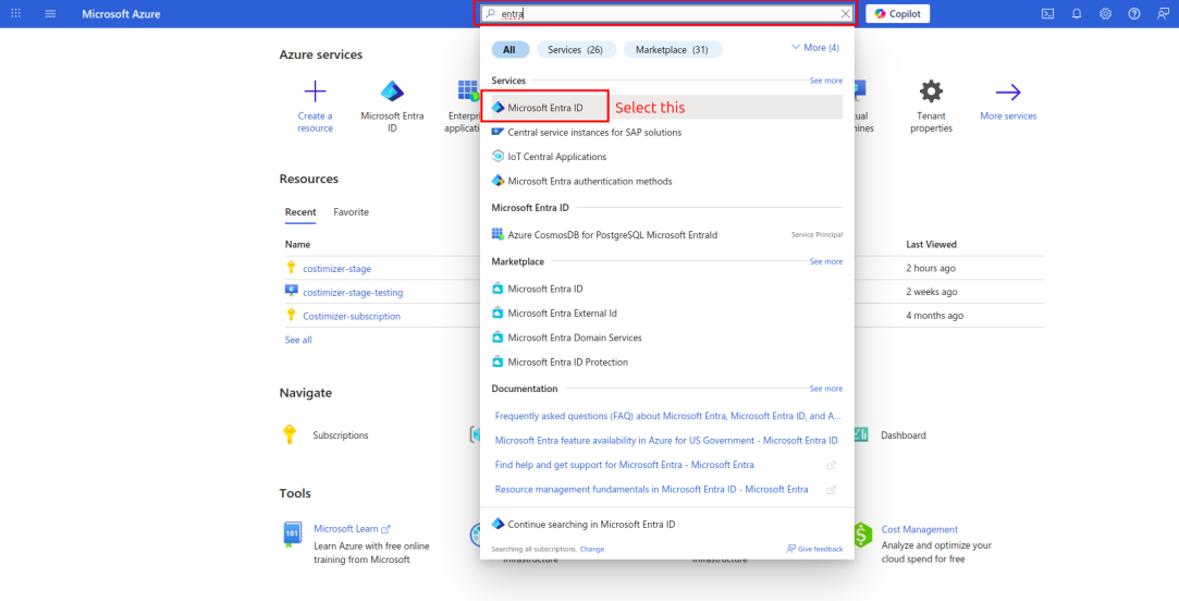 Azure connection options in Costimizer